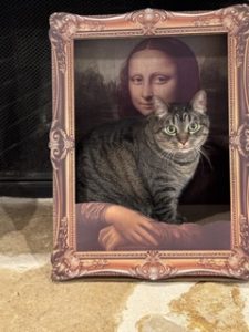 pet sitting
